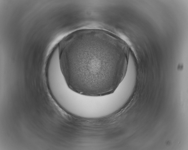 X0000096411464200802071644
