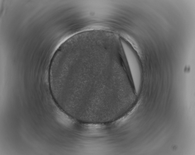 X0000096411465200802071644
