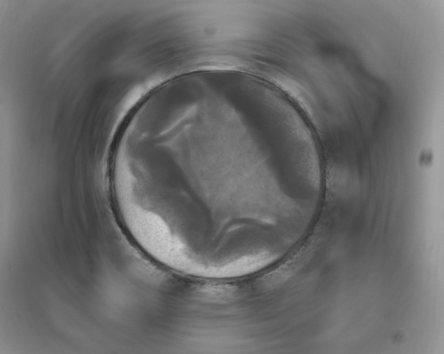 X0000096411466200802071644