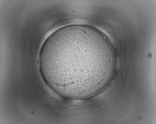 X0000096411467200802071644
