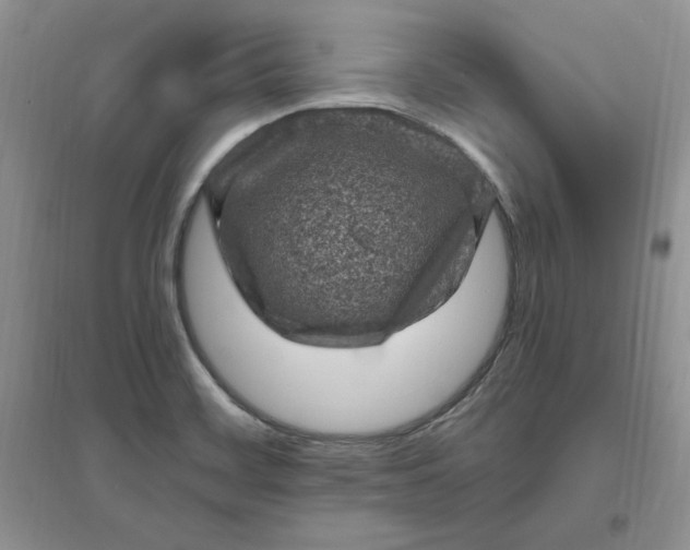 X0000096411468200802071644