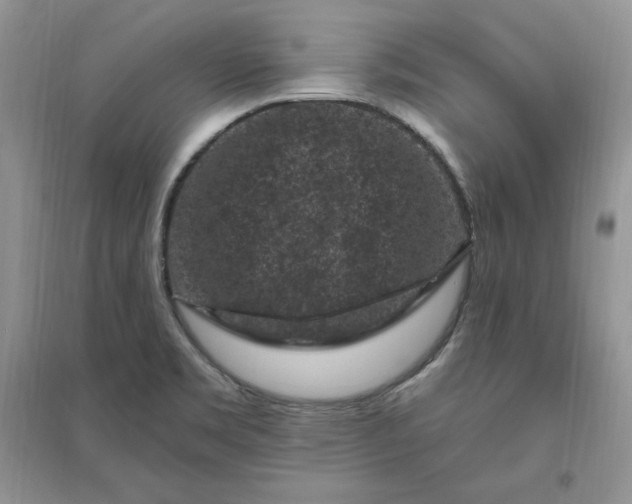 X0000096411469200802071644