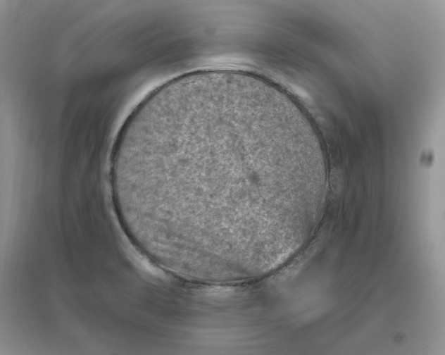 X0000096411470200802071644