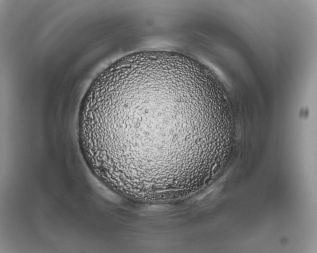 X0000096411471200802071644
