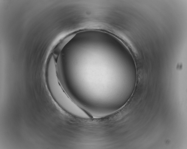X0000096411472200802071644