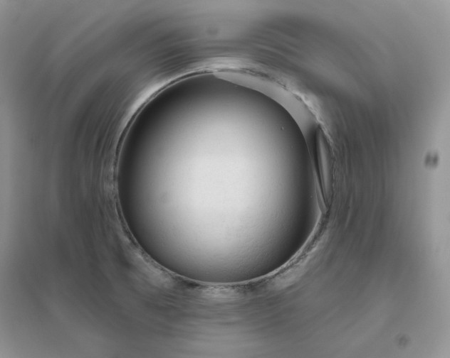 X0000096411473200802071644
