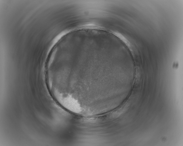 X0000096411474200802071644