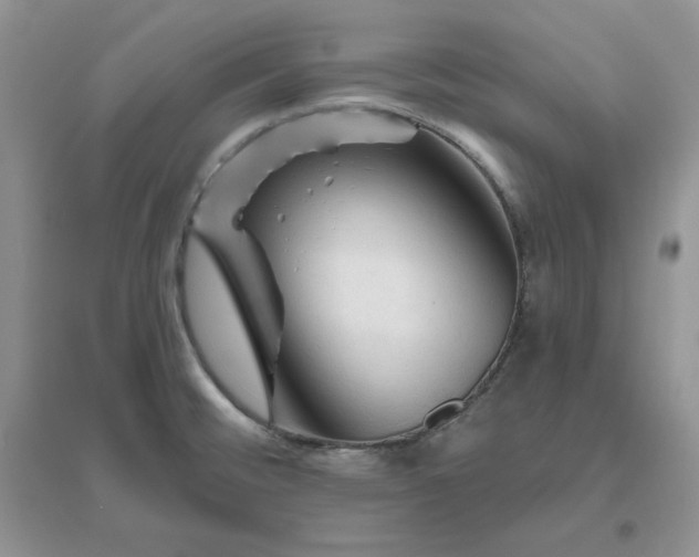 X0000096411476200802071644
