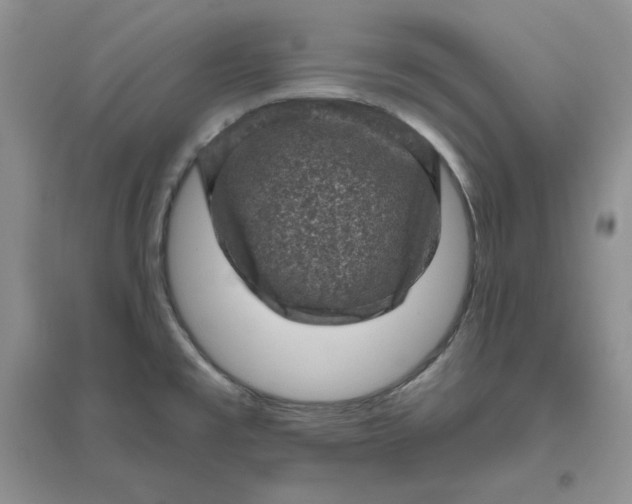 X0000096411477200802071644