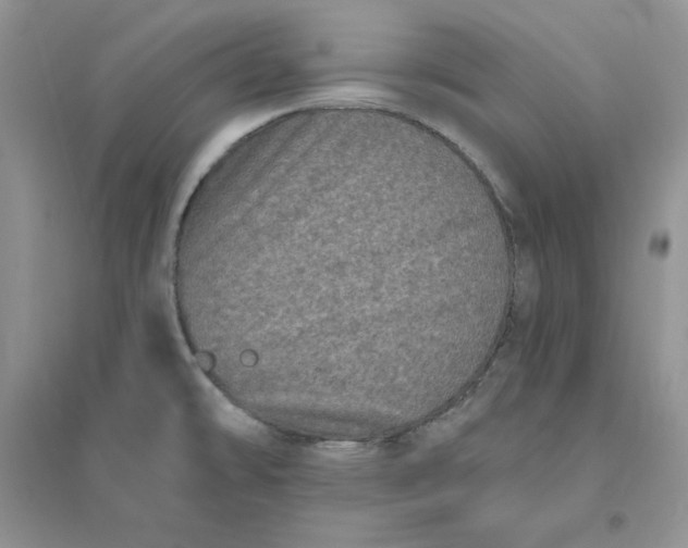 X0000096411478200802071644