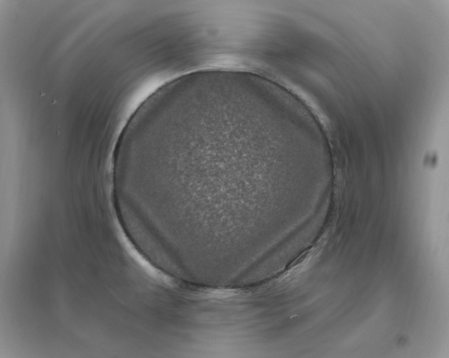 X0000096411479200802071644