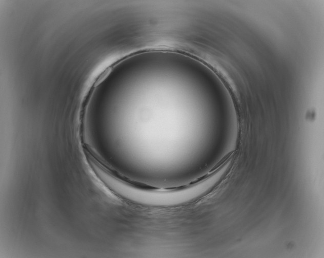 X0000096411480200802071644