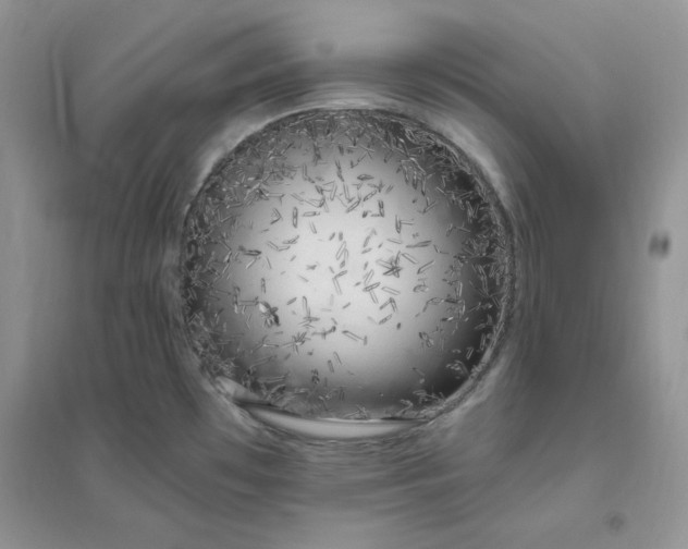 X0000096411481200802071644