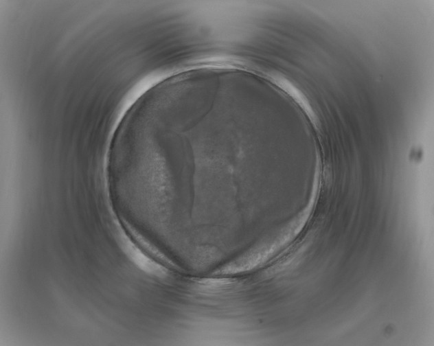 X0000096411482200802071644