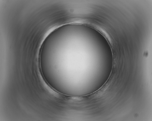 X0000096411483200802071644