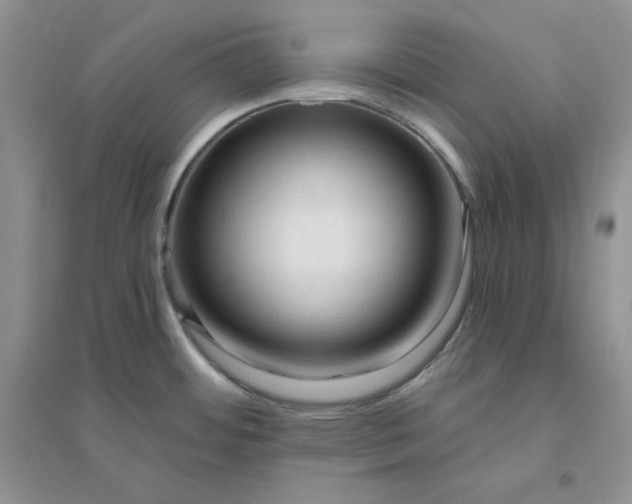 X0000096411484200802071644