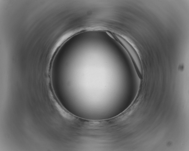 X0000096411485200802071644