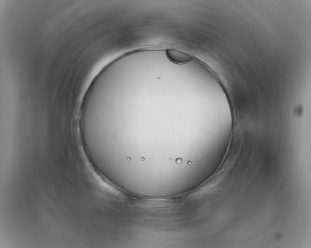 X0000096411486200802071644