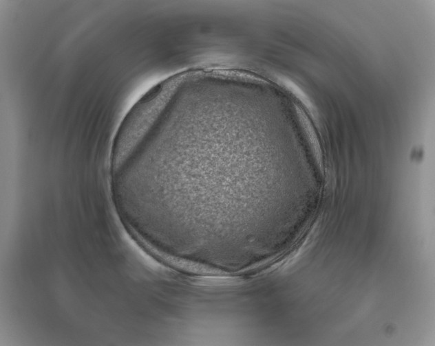 X0000096411487200802071644