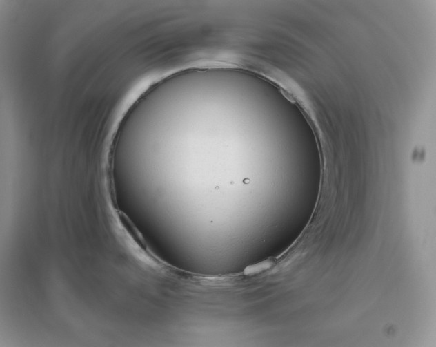 X0000096411488200802071644