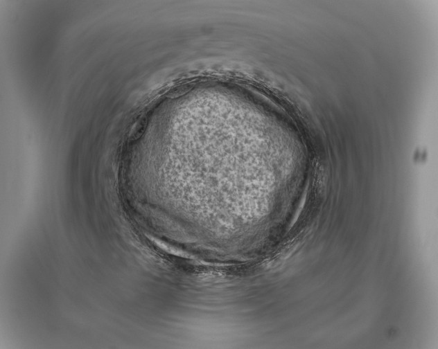 X0000096411489200802071643