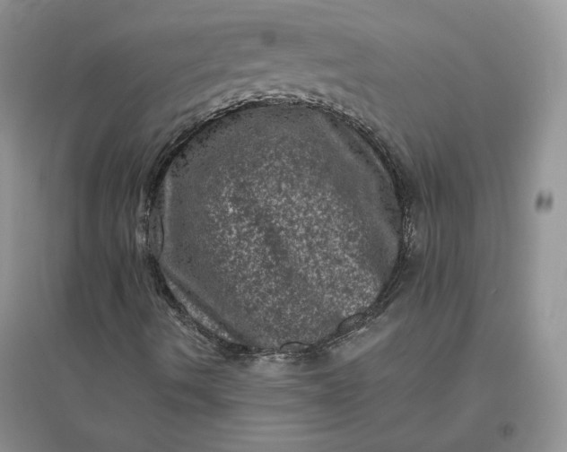 X0000096411490200802071643