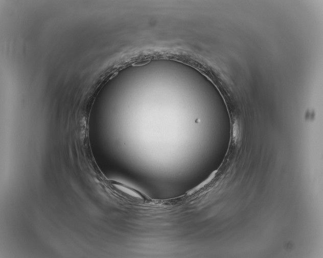 X0000096411492200802071643