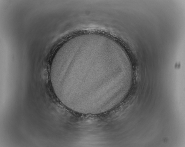 X0000096411493200802071643