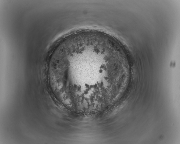 X0000096411494200802071643