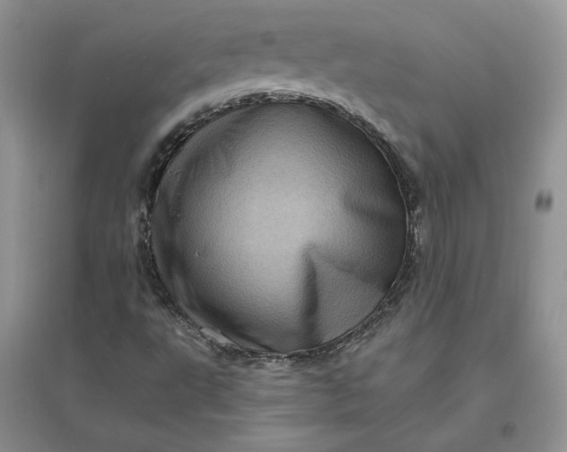 X0000096411495200802071643