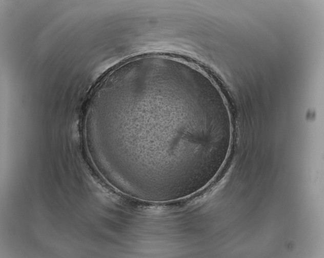 X0000096411497200802071643