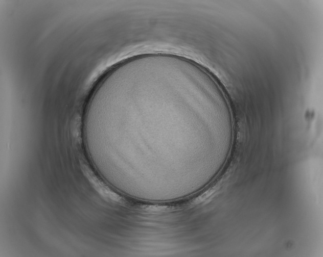 X0000096411499200802071643