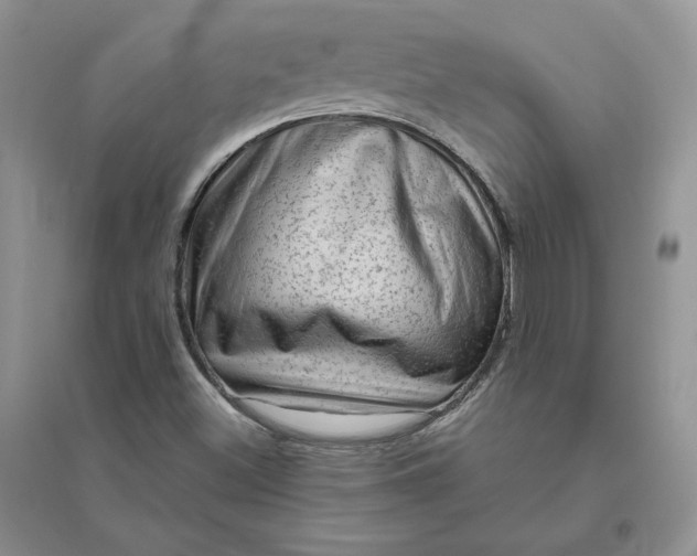 X0000096411500200802071643