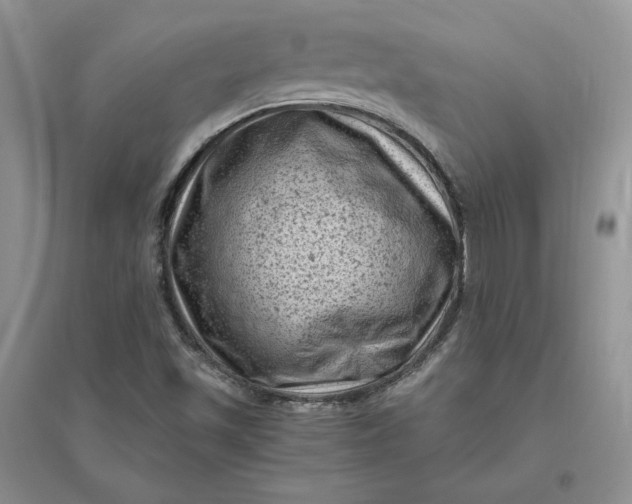 X0000096411501200802071643