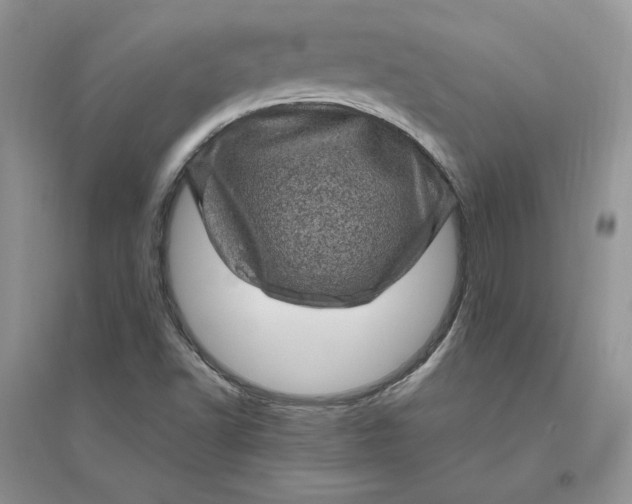 X0000096411502200802071643