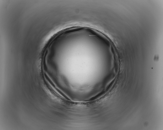 X0000096411503200802071643