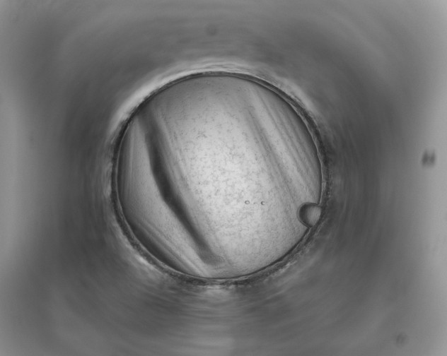 X0000096411504200802071643