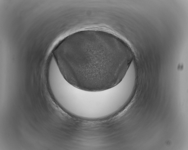 X0000096411506200802071643