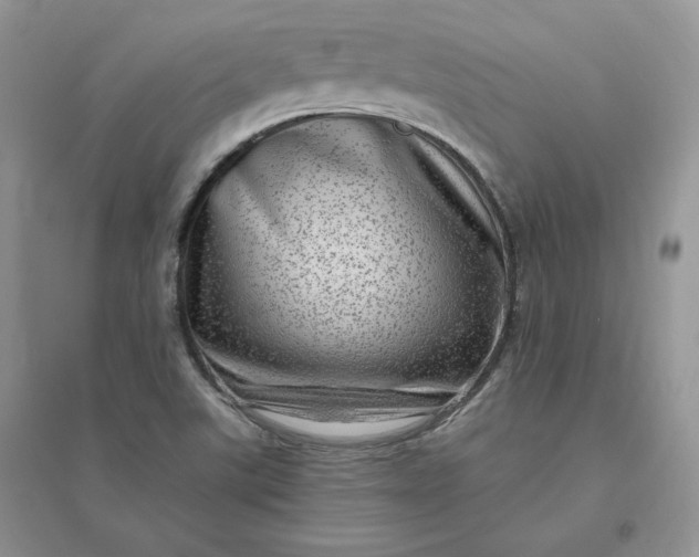 X0000096411507200802071643