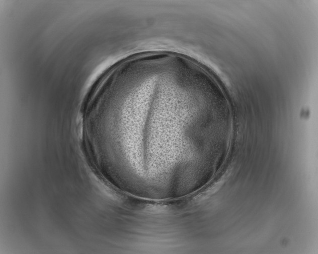 X0000096411509200802071643