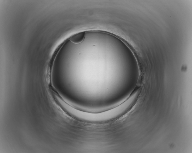 X0000096411510200802071643