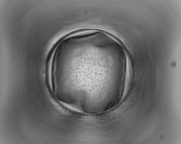 X0000096411511200802071643