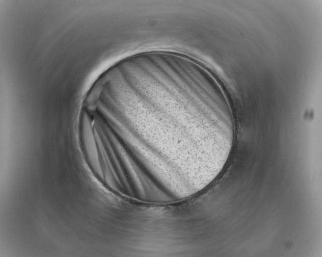 X0000096411512200802071643