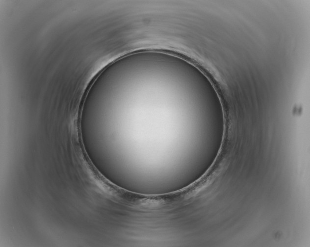 X0000096411513200802071643