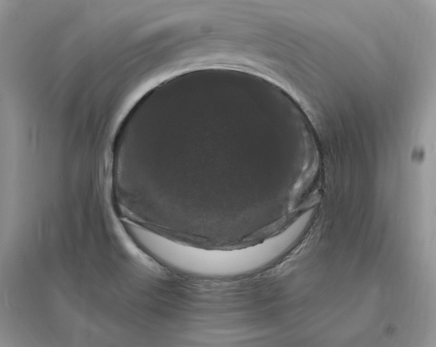 X0000096411515200802071644