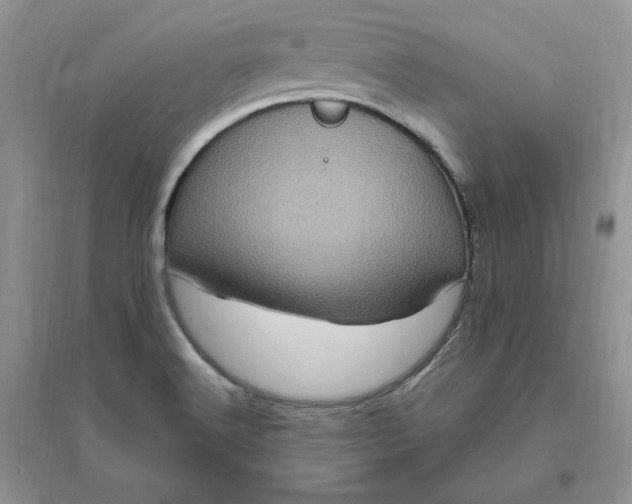 X0000096411516200802071644