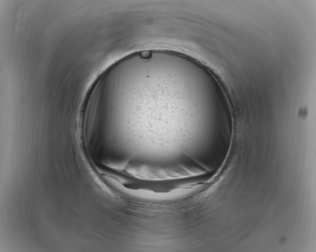 X0000096411517200802071644