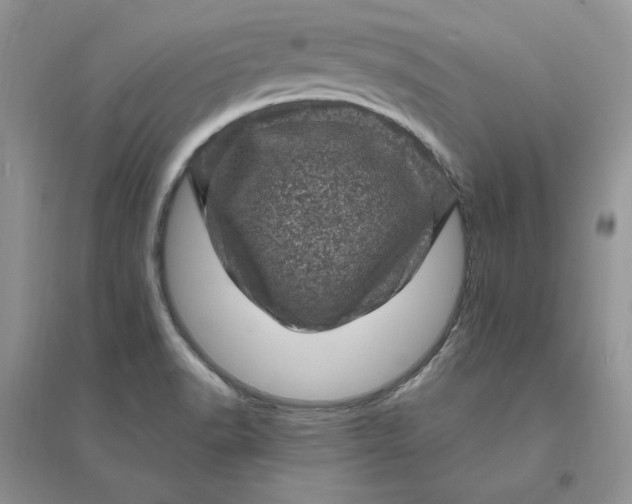 X0000096411518200802071644