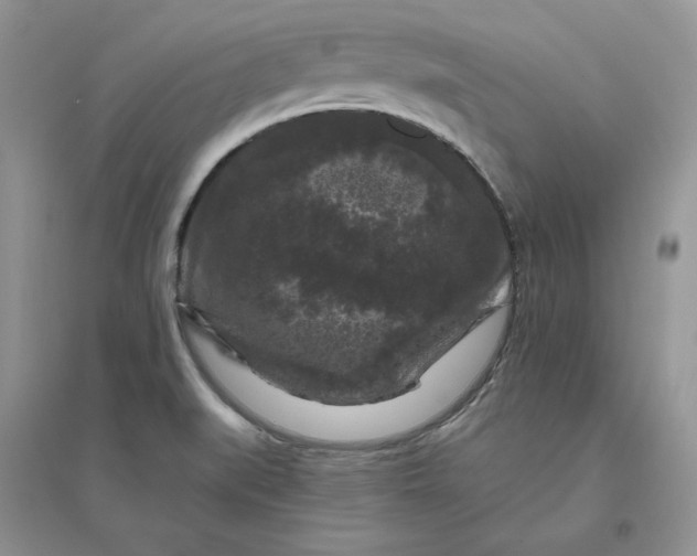 X0000096411519200802071644