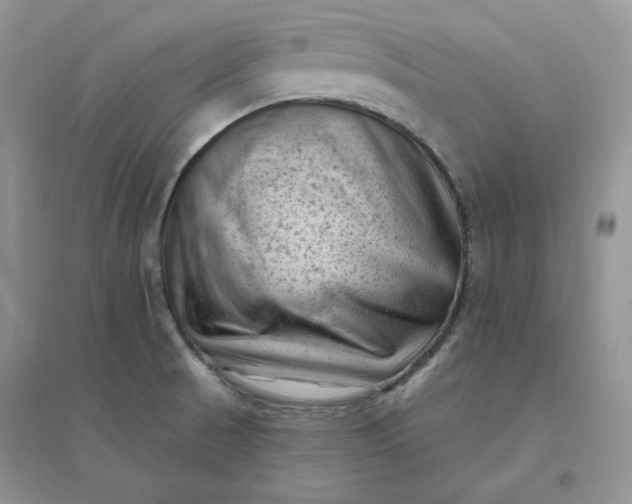 X0000096411521200802071644